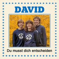 Die Davids – Cover